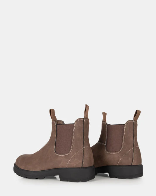 Avalan - Chocolate & BLACK