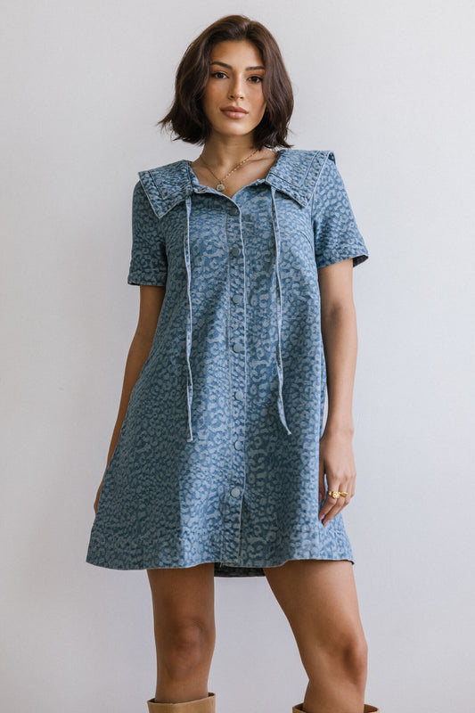 SM_YYNZ_89316/O DENIM SWING DRESS
